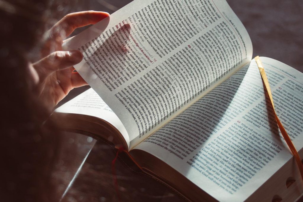 Student volgt internationaal onderwijs programma, werkt aan internationale projecten en ontwikkelt interculturele vaardighede